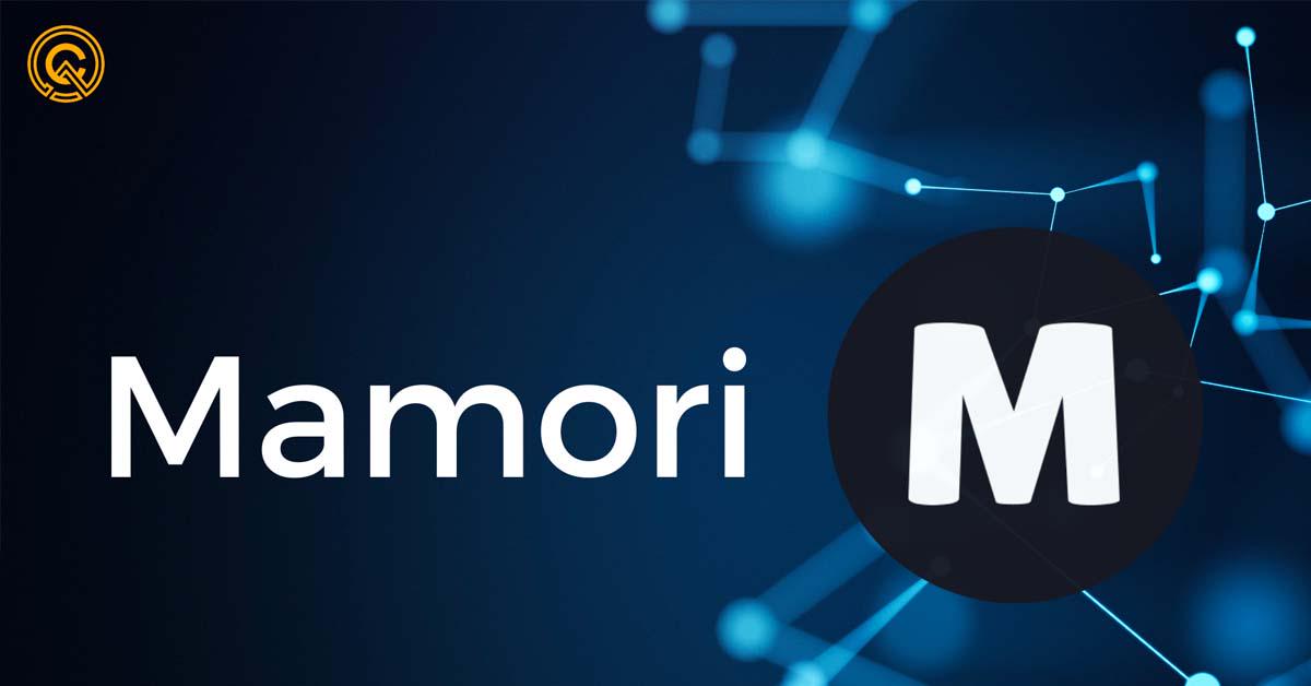 Mamorixyz-web3-security-intro